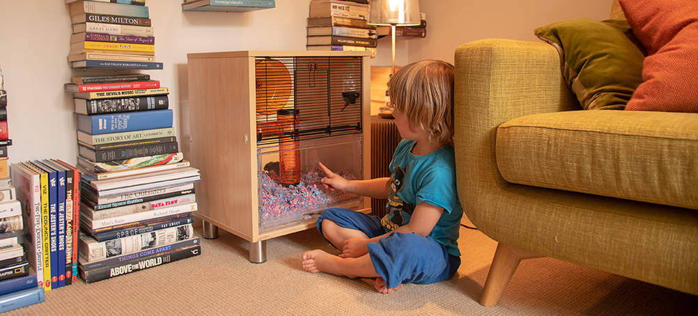 Omlet hamster cage for sale cheap